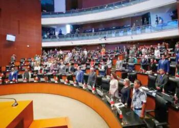 Senadores. Debate sobre la Ley de Desaparición Forzada.