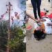 Voladores de Papantla caen al vacío en pleno ritual en Tihuatlán