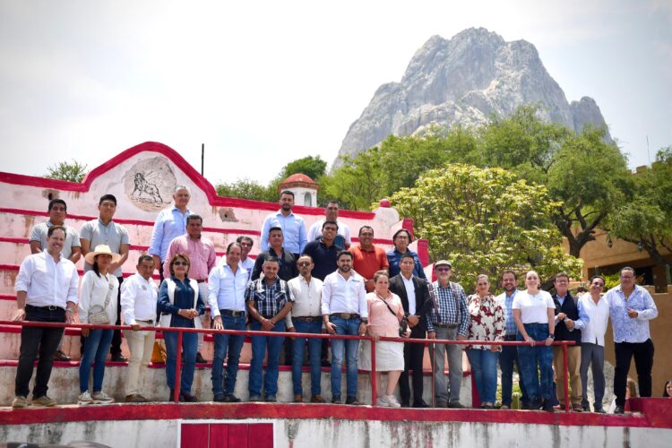 PAN atenderá inseguridad que afecta a ganaderos de Querétaro