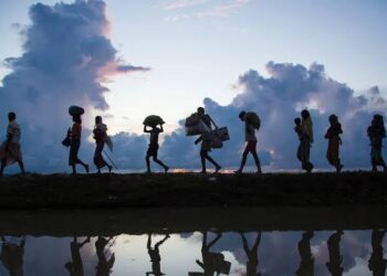 En el marco del Día Mundial del Refugiado, la ACNUR hace un llamado urgente a reforzar la solidaridad internacional.