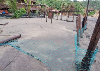 ¡Cuidado con los cocodrilos! en Oaxaca el huracán Erick destruyó el refugio y campamento de cocodrilos en la costa.