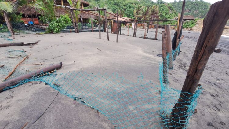 ¡Cuidado con los cocodrilos! en Oaxaca el huracán Erick destruyó el refugio y campamento de cocodrilos en la costa.