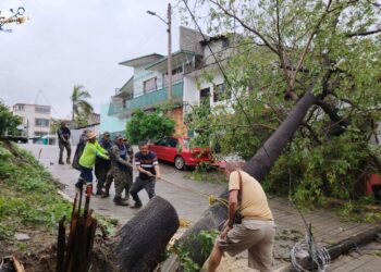 Huracán Erick: aseguradoras activan protocolos de atención en Guerrero y Oaxaca