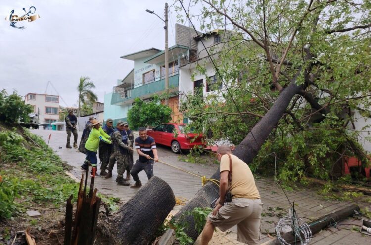 Huracán Erick: aseguradoras activan protocolos de atención en Guerrero y Oaxaca