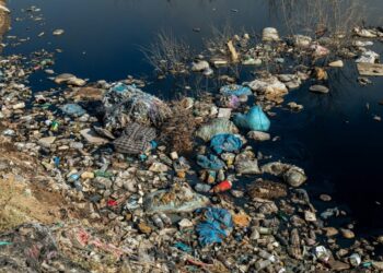 Las inundaciones en la Ciudad de México (CDMX) son un peligro constante no solamente generan problemas viales, sino también amenazan la salud