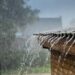 CNPC informa que las tormentas tropicales Barry y Flossie ocasionarán un notable incremento en las lluvias.