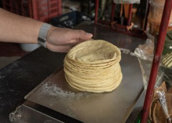 Disminuirá precio de la tortilla, arrancan plan nacional