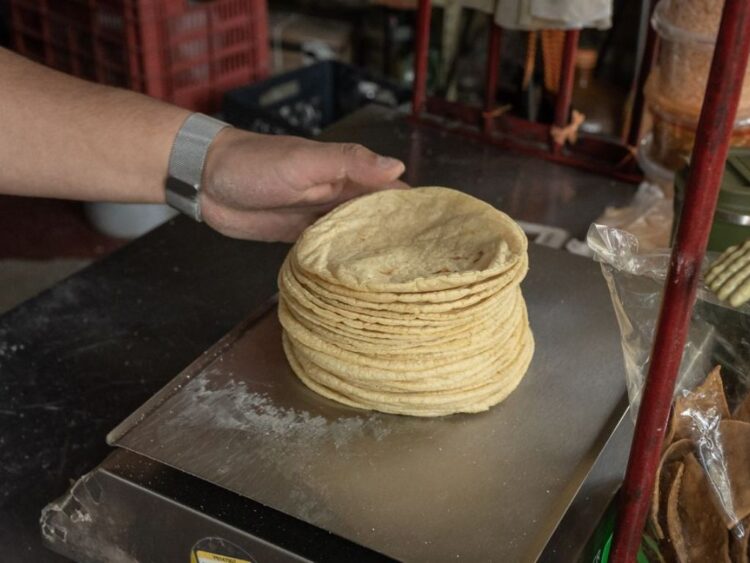 Disminuirá precio de la tortilla, arrancan plan nacional