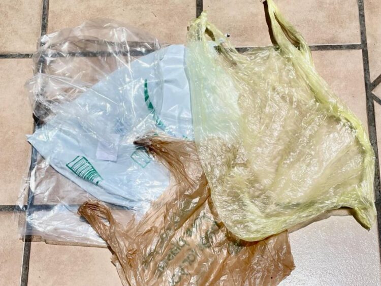 ¿Las bolsas de plástico pueden generar enfermedades?