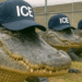 ¿Sabes cómo es «Alligator Alcatraz», el centro de detención para migrantes en Estados Unidos?