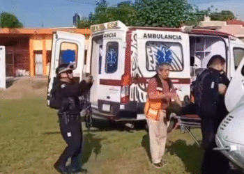 Breves informativas de estados