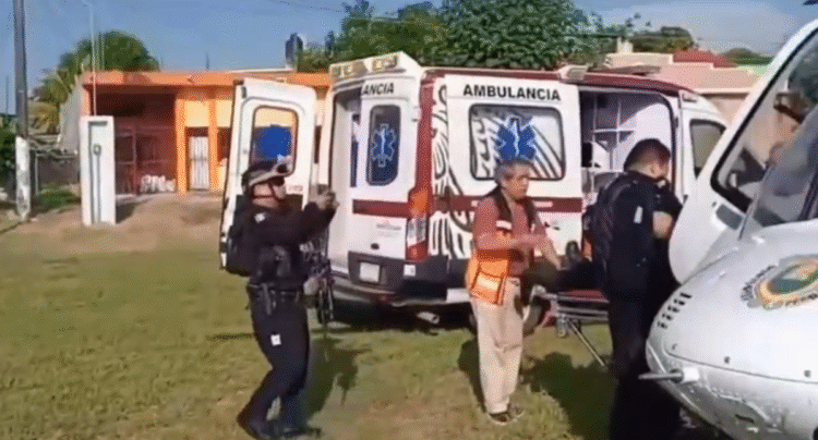 Breves informativas de estados