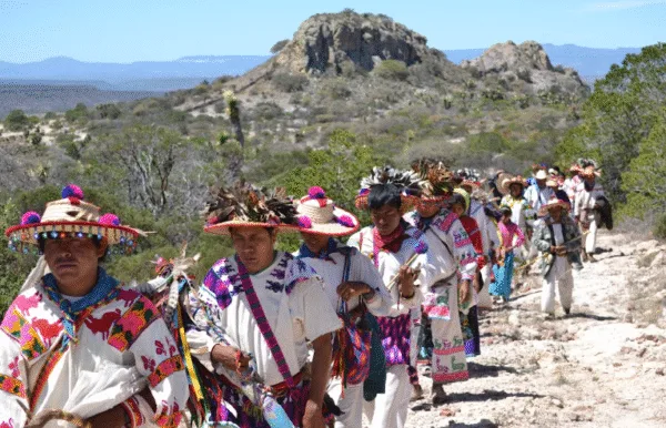 La presidenta Claudia Sheinbaum celebró la inscripción de la Ruta Wixárika por los Sitios Sagrados a Wirikuta en la Lista del Patrimonio Mundial de la UNESCO.