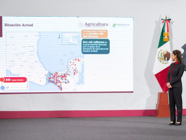 “Totalmente exagerada”, decisión de EU de cerrar la frontera al ganado mexicano: Sheinbaum