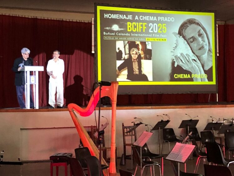 Película francesa "Por todo lo alto", gana el premio del público en el Festival Internacional de Cine Buñuel Calanda