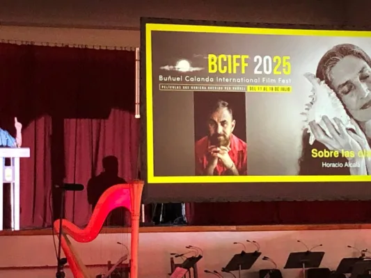 Película francesa "Por todo lo alto", gana el premio del público en el Festival Internacional de Cine Buñuel Calanda