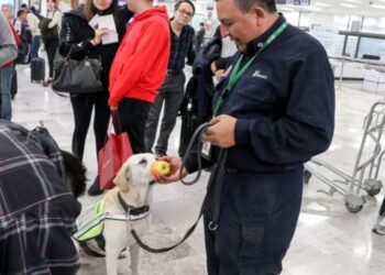 Revisión fronteriza para evitar ingreso de plagas. AMEXI