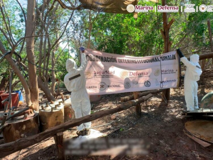Fuerzas federales desmantelan seis laboratorios clandestinos en Navolato, Sinaloa. Foto Cortesía gabinete de seguridad