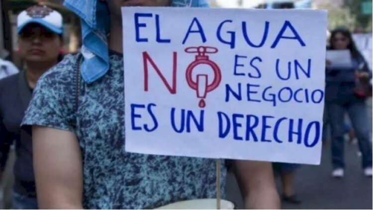 La planta agroindustrial de Millfoods, instalada en Salamanca para impulsar el maíz no transgénico enfrenta cuestionamientos.