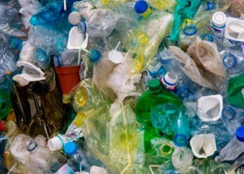 Plásticos y cáncer de mama. Prevenirse. AMEXI