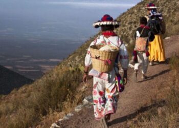 Ruta Huichola ya es Patrimonio Mundial.