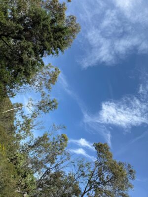 El parque de la Sierra de Guadalupe recibe a visitantes todos los días de 09:00 a 18:00 horas, con múltiples accesos desde Coacalco, Ecatepec, Tlalnepantla y Tultitlán.