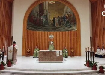 La reciente muerte del padre Matteo Balzano en Italia abrió una conversación urgente dentro de la Iglesia Católica.