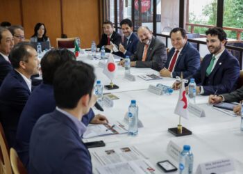 Yucatán ofrece alternativas de inversión a empresarios japoneses
