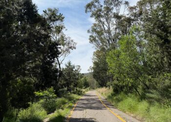 Sierra de Guadalupe, tesoro natural en el Valle de México. ¡Ven y diviértete! conforma uno de los pulmones ecológicos del Valle de México.