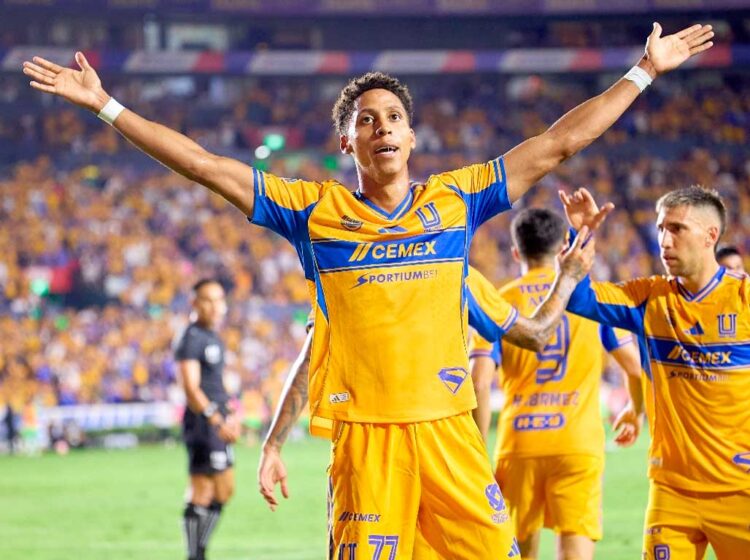 Tigres