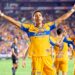 Tigres