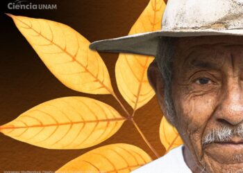 ¿En México se atiende a los adultos mayores?