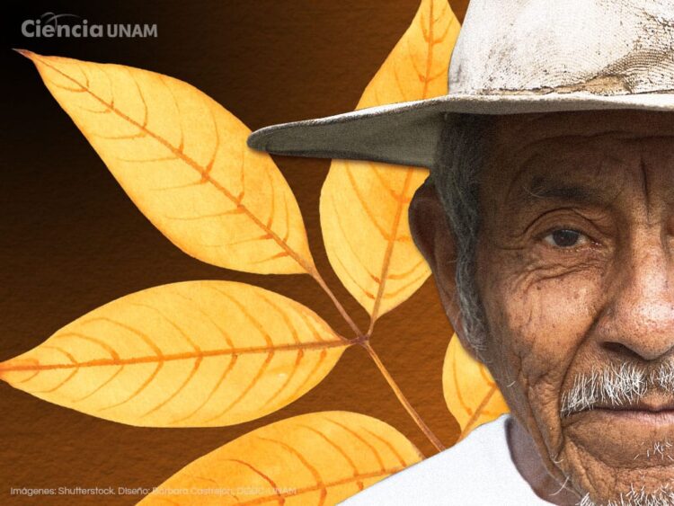 ¿En México se atiende a los adultos mayores?