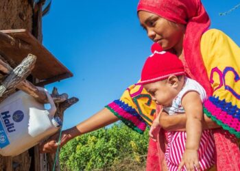 Una de cada cuatro personas en el mundo carece de agua potable