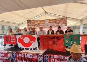 Movimiento campesino exige reforma al artículo 27 constitucional (video)