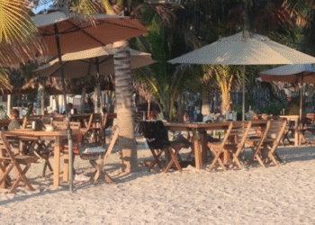 Restauranteros de Yucatán llaman a no convertir el fenómeno de la marea roja en un tema de pánico