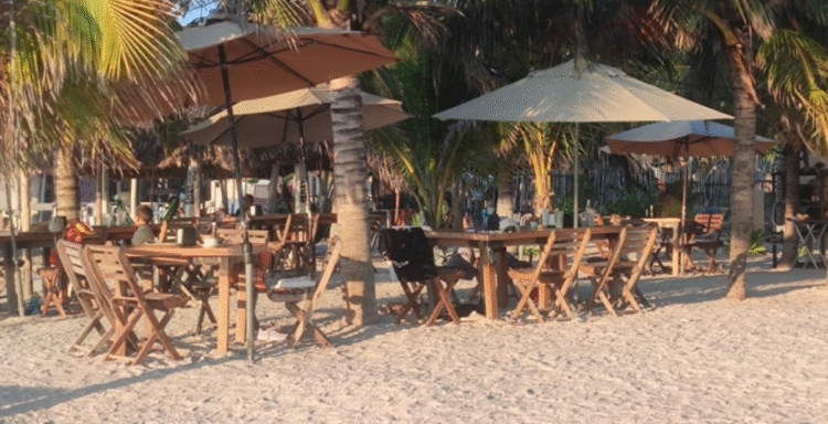 Restauranteros de Yucatán llaman a no convertir el fenómeno de la marea roja en un tema de pánico