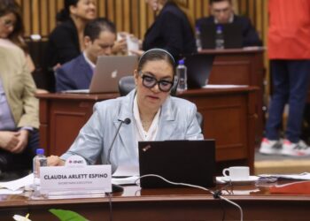 La violencia política contra las mujeres en redes sociales es un fenómeno que se denuncia cada vez con más frecuencia