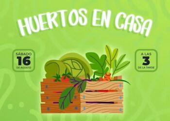 Diversión gratis en CDMX: te decimos dónde