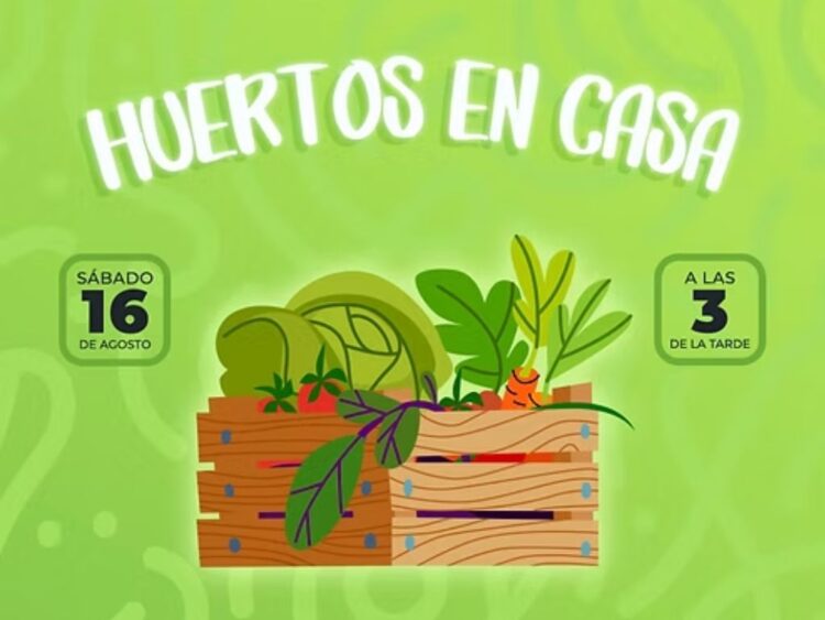 Diversión gratis en CDMX: te decimos dónde