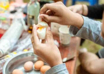 Los beneficios del huevo. Un alimento completo.