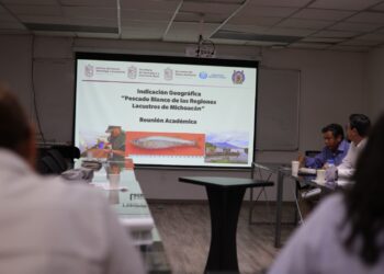 El ICTI del estado de Michoacán informa que para proteger al pescado blanco se avanza hacia la obtención de la Indicación Geográfica (IG).