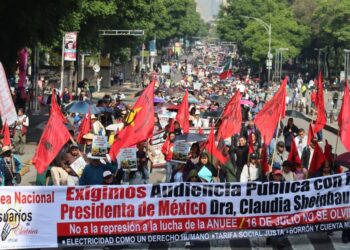 Resolución de la ONU obliga al Estado a asegurar servicio universal de electricidad: ANUEE