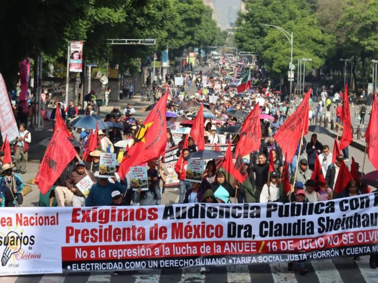 Resolución de la ONU obliga al Estado a asegurar servicio universal de electricidad: ANUEE