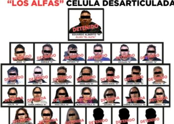 Desarticulan a “Los Alfas”, célula criminal que operaba con violencia extrema en el Valle de Toluca. AMEXI