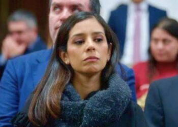 Luisa Gutiérrez. Hostigamiento de la 4T contra periodistas. AMEXI