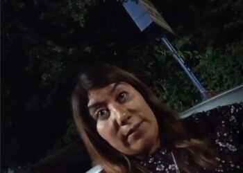 Breves informativas de estados