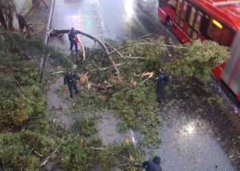 Fuertes lluvias en CDMX provocaron 13 encharcamientos y caída de 11 árboles