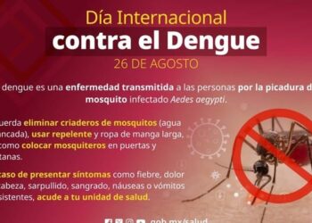 En el marco del Día Internacional contra el Dengue, las autoridades de salud del país resaltan que puede confundirse con enfermedades virales