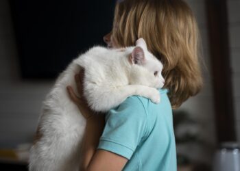 Día Internacional del Gato: Más que una celebración, un llamado al bienestar felino